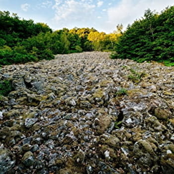 Mer de Pierres - COLLONGE-EN-CHAROLLAIS