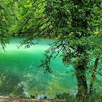 Randonnée des grangeons au lac bleu - AMBERIEU-EN-BUGEY