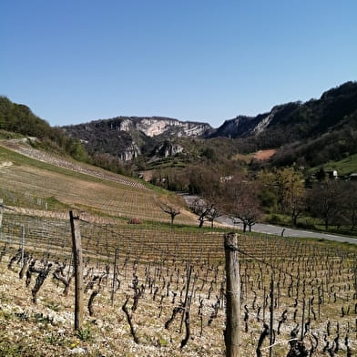 GR® de Pays - Tour de la Vallée de l'Ain au Pays du Cerdon