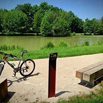 Circuit VTT-VTC n°18 (vert) - Tour de l'étang de Mépillat - SAINT-NIZIER-LE-BOUCHOUX