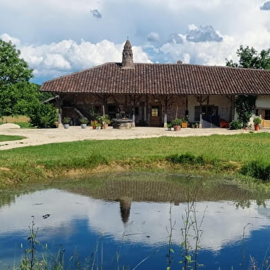 Circuit VTT-VTC n°26 (noir) - Tour de St Didier d'Aussiat