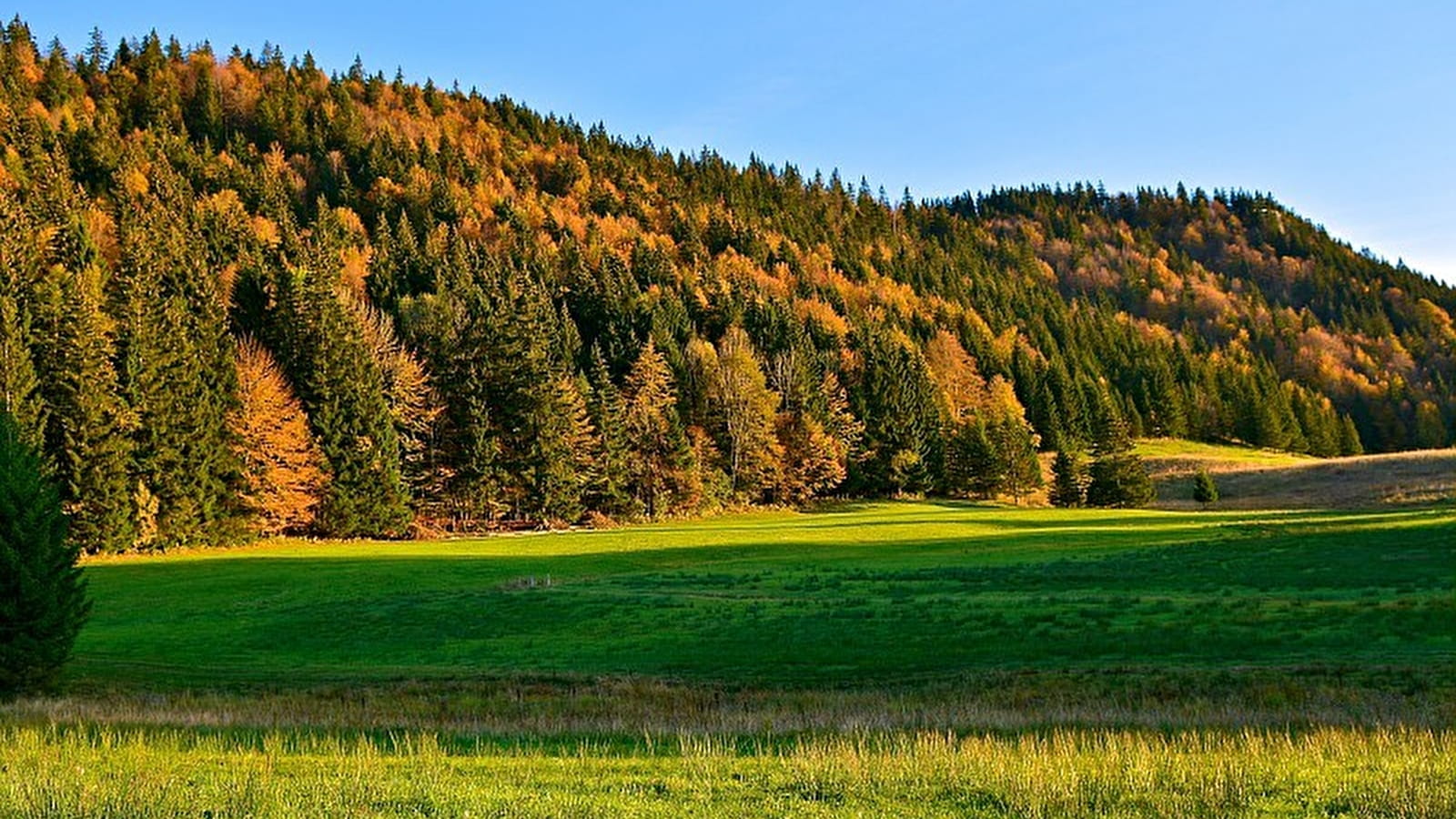 Fontaine Noire - 64B