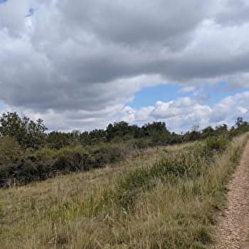 Entre lys et bois - SASSANGY