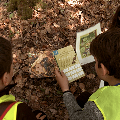 Espace pédagogique forestier de Seillon