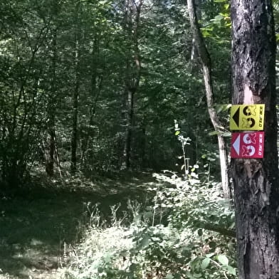 Parcours permanents de trail - Oxyrace