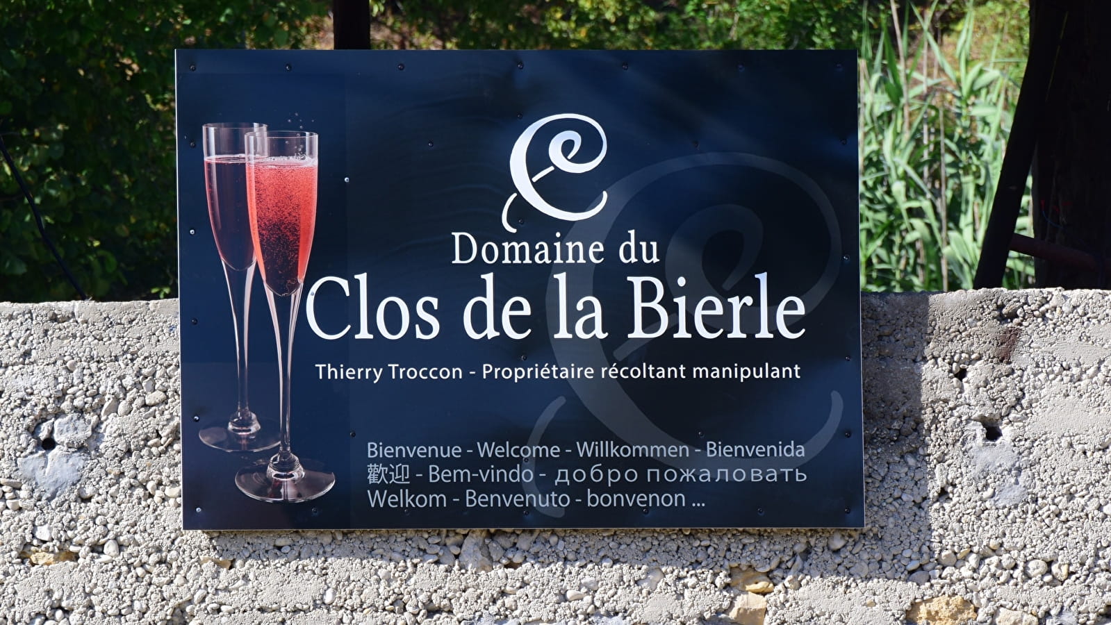 Domaine du Clos de la Bierle