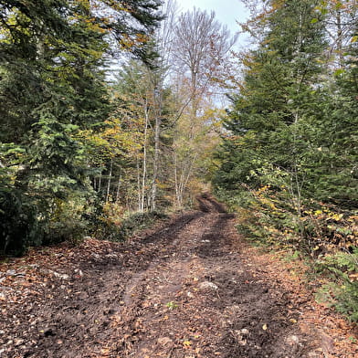 Randonnée - Le Belvédère de Sérémond