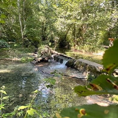 Randonnée pédestre : Marais des Bidonnes et Canal de Crans