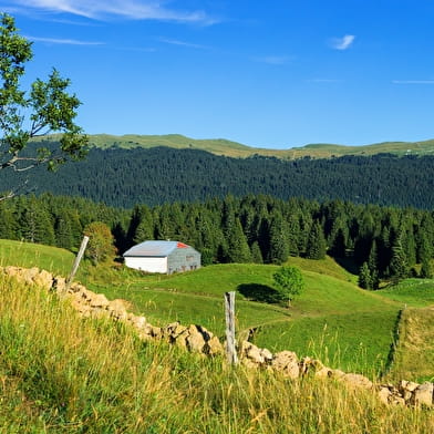 Les Hautes Combes - 1R