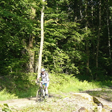 Circuit VTT-VTC n°3 (bleu) - L'arboretum d'Etrez