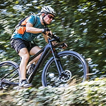 En terre Charolaise - SAINT-CHRISTOPHE-EN-BRIONNAIS