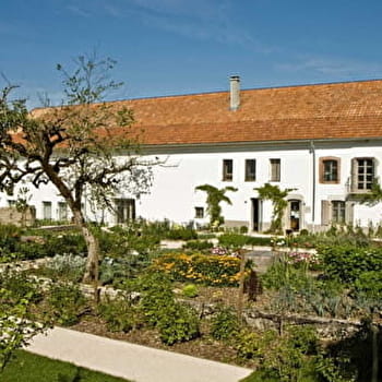 Gustave à bicyclette - ORNANS