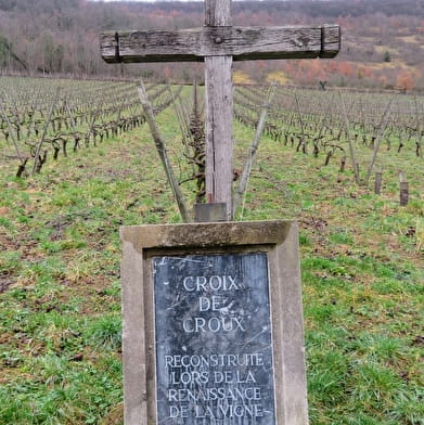Vignes de Croux
