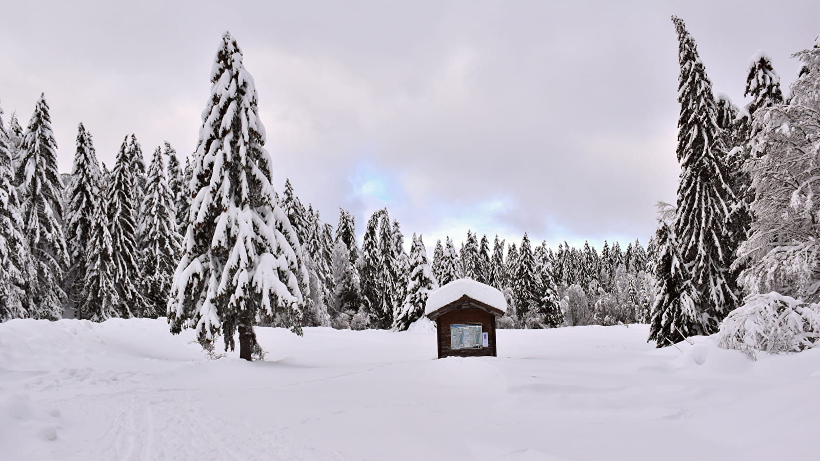 Itinéraire Raquettes du Plateau de Retord R11 au départ de la Chapelle