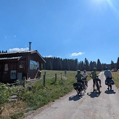 Taremberg - n°78 variante technique