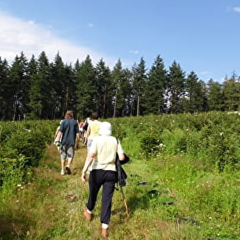 Circuit court des Lavoirs - BRION