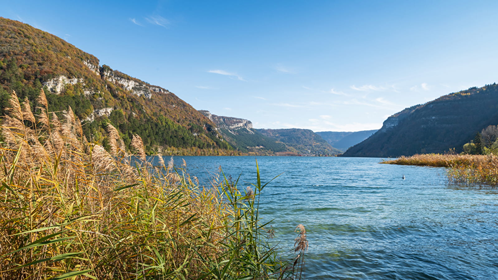 Circuit Jurassic vélo tours n° 41 - Les lacs du Haut-Bugey