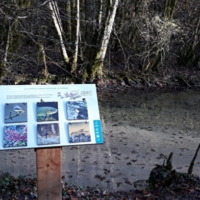 Sentier de balade : la Pernaz sauvage