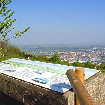 Dans le Salbert - CRAVANCHE