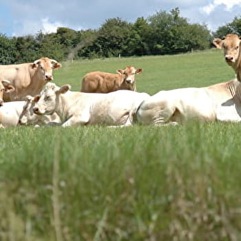 Le sentier de Laroche - LA ROCHE-VANNEAU