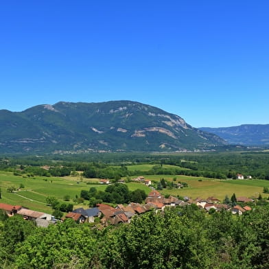 Circuit de randonnée pédestre : Lac et vignobles
