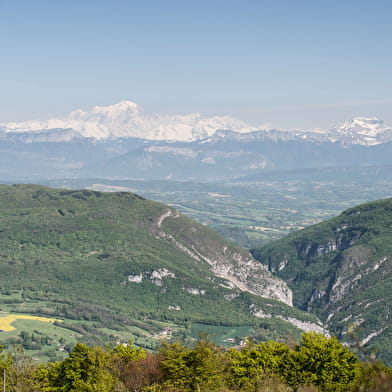 Parcours VTT rouge N°41 - Boucle du Grand Colombier - Espace FFC Ain Forestière