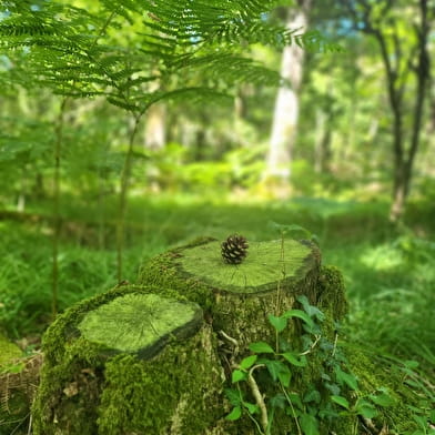 Balade à Thoiry : ' en Molie'