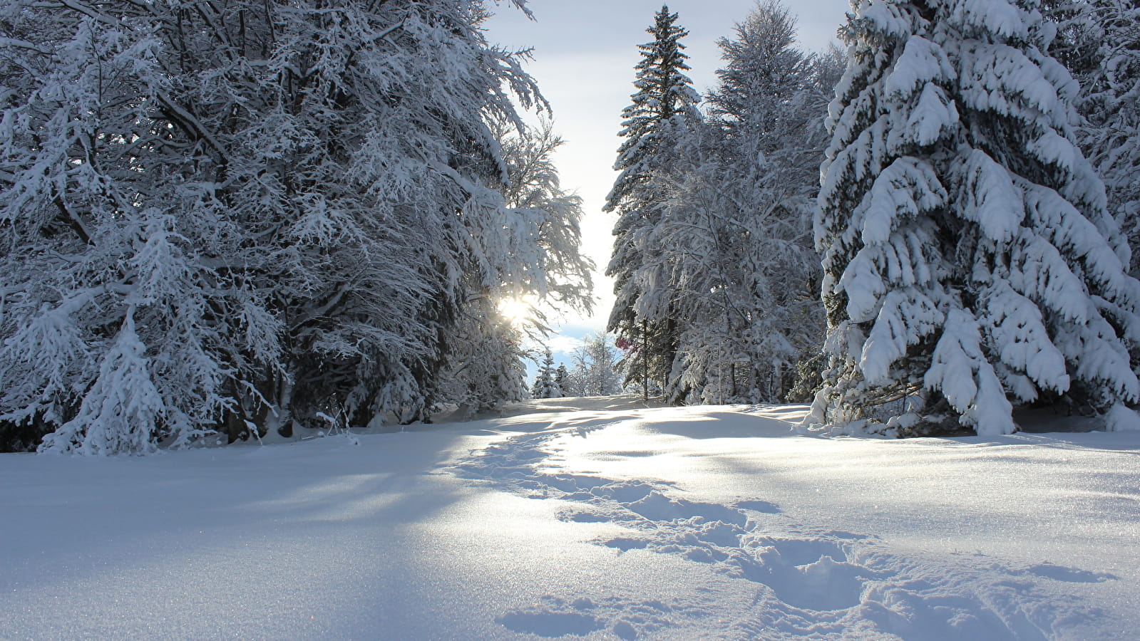Sentier raquettes de l'Écureuil