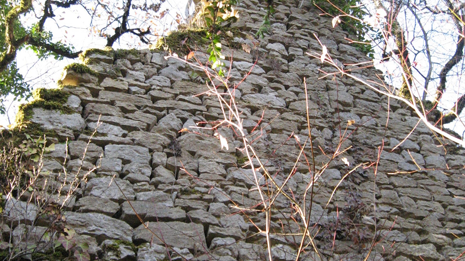 Randonnée - Les crêtes et ruines de la maison forte de Lomont