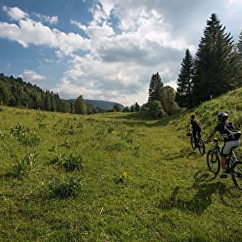 Parcours VTT 82 - bleu - Les Rochassons - Espace FFC Ain Forestière - DIVONNE-LES-BAINS
