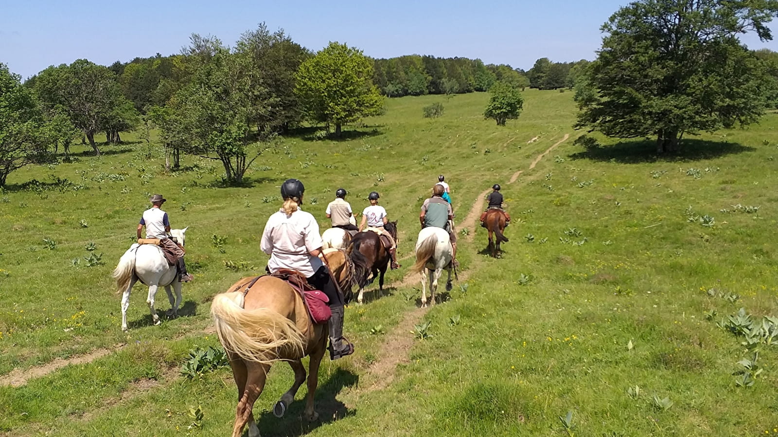 Circuit équestre du Plateau de Retord