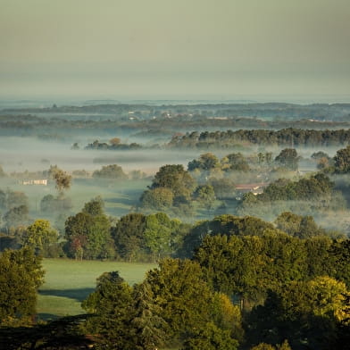 Circuit VTT-VTC n°3 (bleu) - L'arboretum d'Etrez