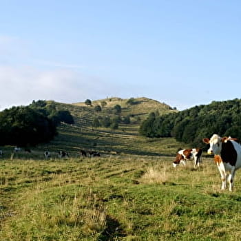 Randonnée pédestre : Boucle des Platières - CORBONOD