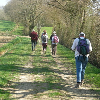Circuit randonnée : Les saveurs de la Bresse