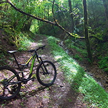 Circuit VTTAE n°1 (noir) - Montfort / Mont-Myon - VAL-REVERMONT