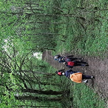 Circuit pédestre de Fontenelay  - GY