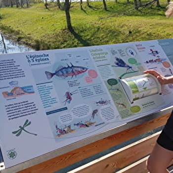 Sentier des anciens méandres du Rhône (ENS de l'Ain) - SERRIERES-DE-BRIORD