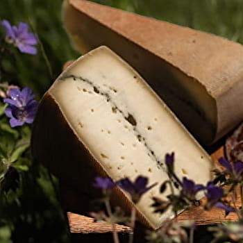 Salins - Morteau : Une fugue gourmande dans le Haut-Doubs - SALINS-LES-BAINS