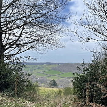 Chemin des chétifs bois - SAINT-ROMAIN-SOUS-GOURDON