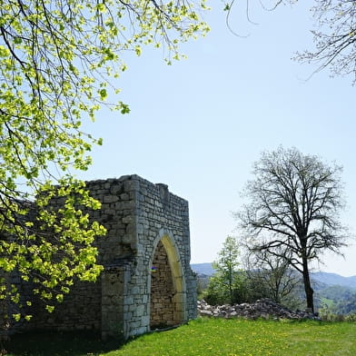 Circuit des grottes et des vignes à Cerdon