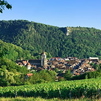 Les Granges Boisson - 114R - POLIGNY