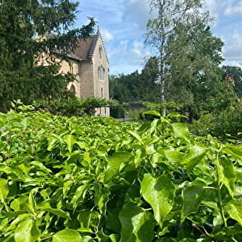 Des merveilles colorées de l'église Saint-Martin à la sérénité du Carmel Saint-Joseph - SAINT-MARTIN-BELLE-ROCHE