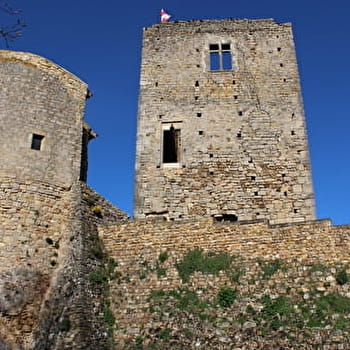 Boucle A6 : La grimpette des clochers - MARCIGNY