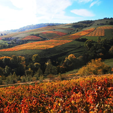 Circuit les têtières