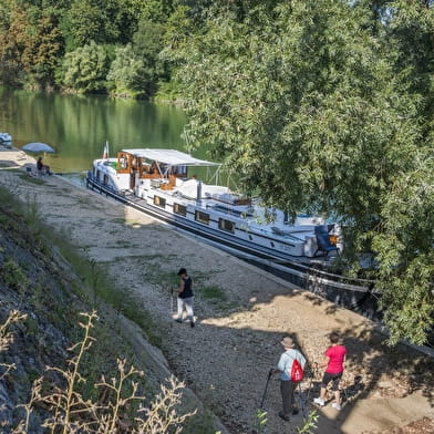 Panouille dans la panade