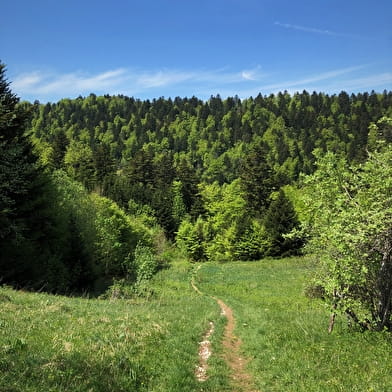 Randonnée des Crêtes de Sur Lyand