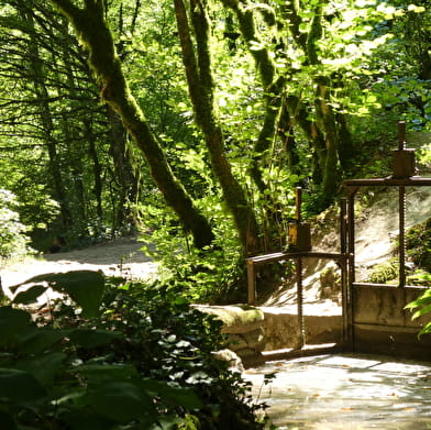 Sentier de balade : la Pernaz sauvage