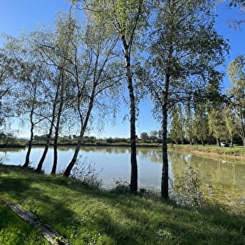 Les Beaux Regards - CHENOVES