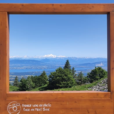 Randonnée pédestre : Le Petit Montrond - la Faucille