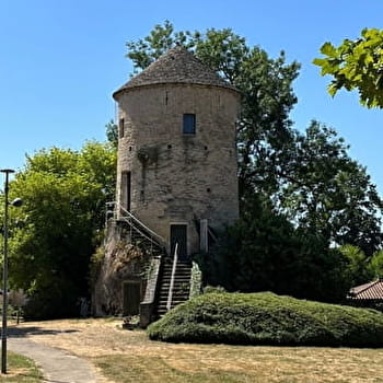 Sur les pas de Charles Dorel - MACON